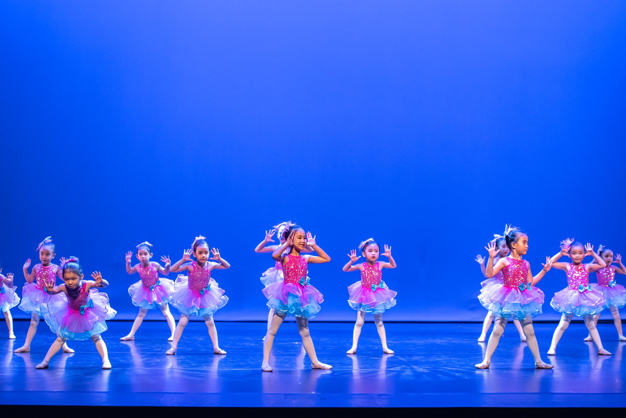 83726493_2934906499900360_4755819941150588928_o_2934906493233694