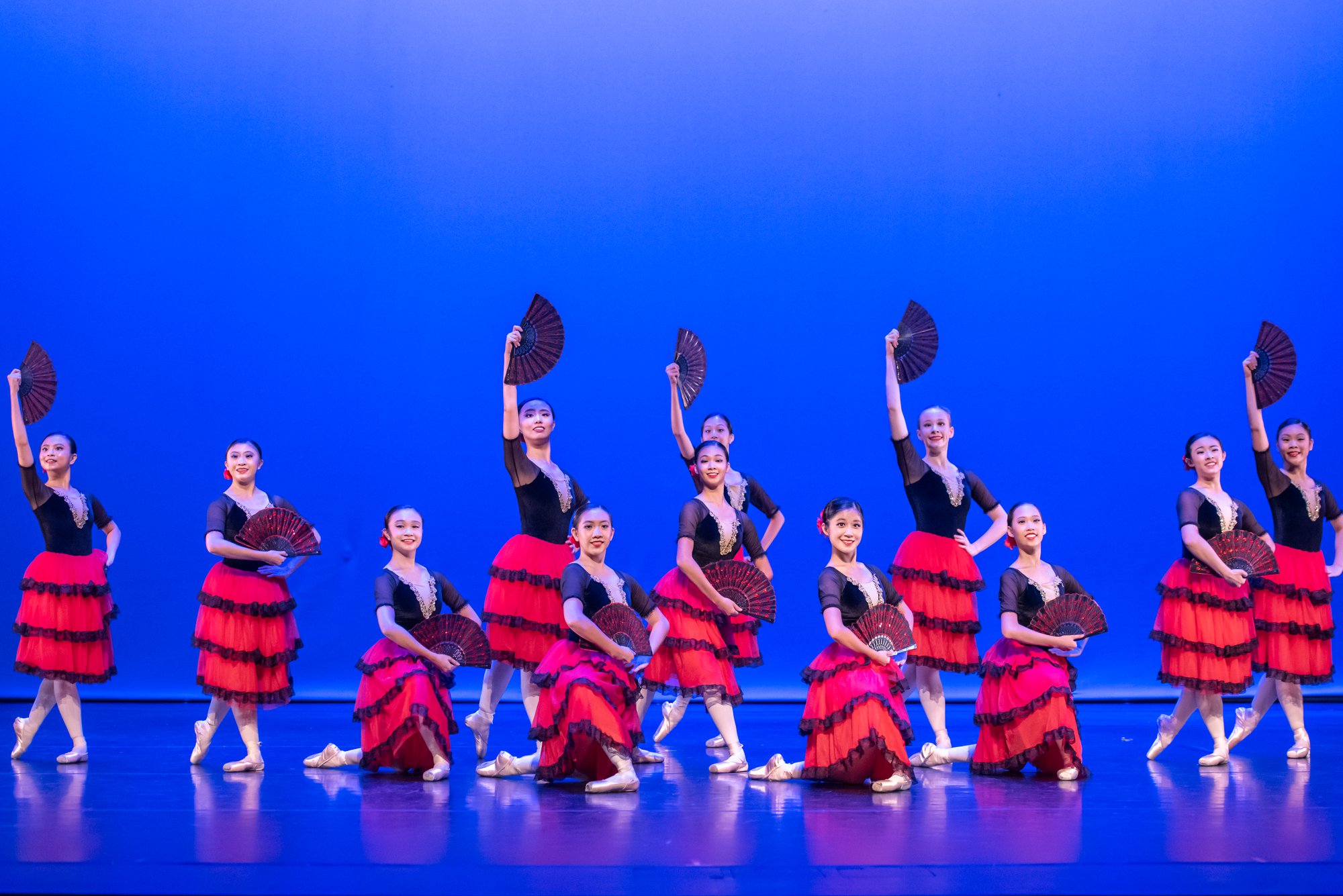 84037074_2934906209900389_8141068951464443904_o_2934906206567056